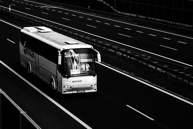 autobus na dálnici.jpg
